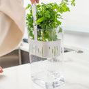 Pote para Temperos Frescos Clear