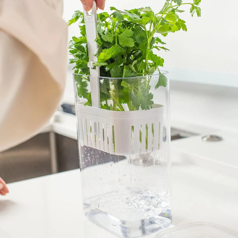 Pote para Temperos Frescos Clear